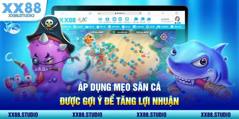Áp dụng mẹo săn cá được gợi ý để tăng lợi nhuận