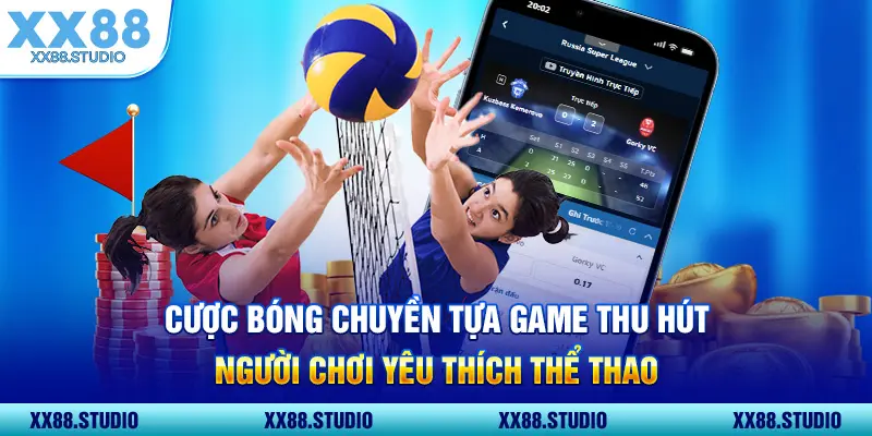 Cược bóng chuyền tựa game thu hút người chơi yêu thích thể thao