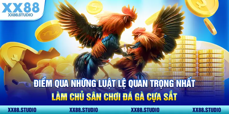 Điểm qua những luật lệ quan trọng nhất. Làm chủ sân chơi đá gà cựa sắt