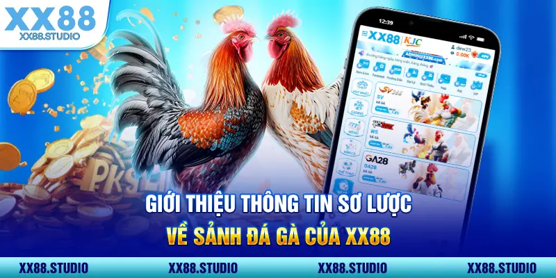 Giới thiệu thông tin sơ lược về sảnh đá gà của XX88