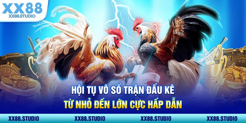 Hội tụ vô số trận đấu kê từ nhỏ đến lớn cực hấp dẫn