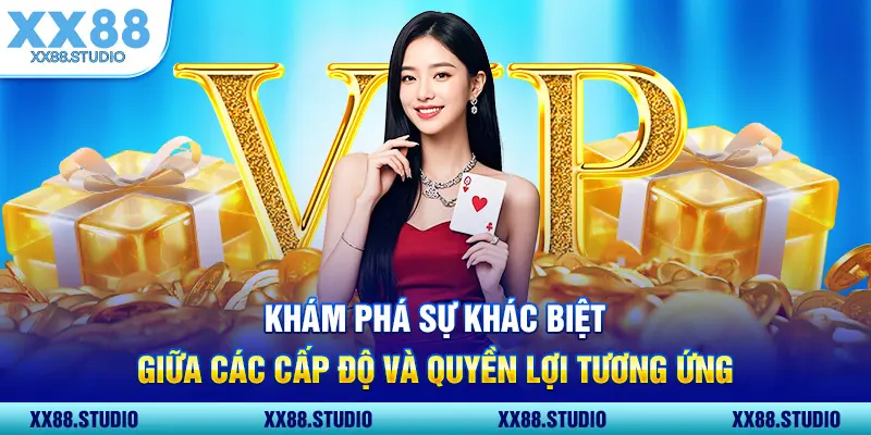 Khám phá sự khác biệt giữa các cấp độ và quyền lợi tương ứng
