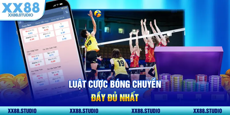 Luật cược bóng chuyền đầy đủ nhất
