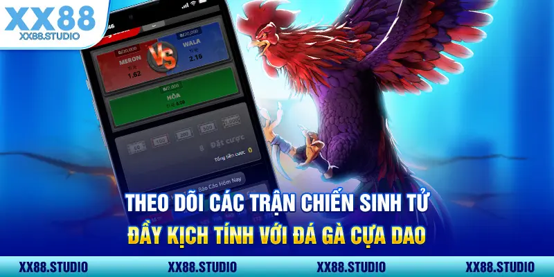 Theo dõi các trận chiến sinh tử đầy kịch tính với đá gà cựa dao