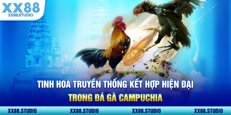 Tinh hoa truyền thống kết hợp hiện đại trong đá gà Campuchia