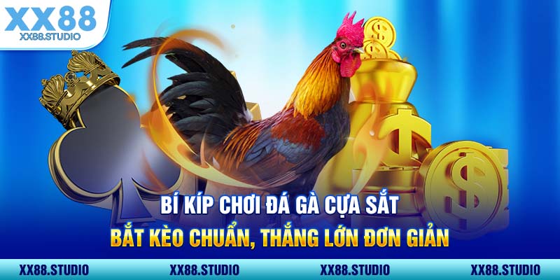 BÍ KÍP CHƠI ĐÁ GÀ CỰA SẮT BẮT KÈO CHUẨN THẮNG LỚN ĐƠN GIẢN